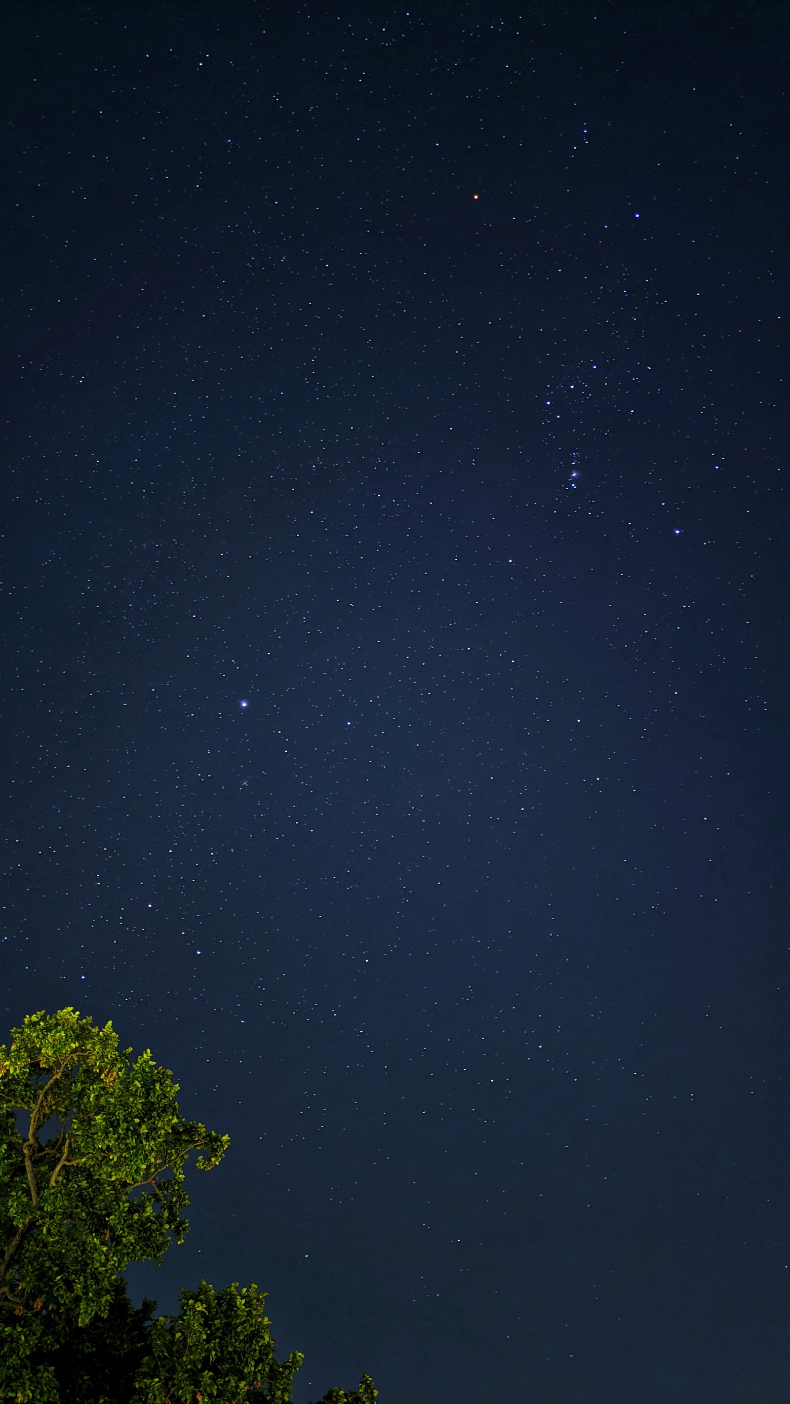 stars22